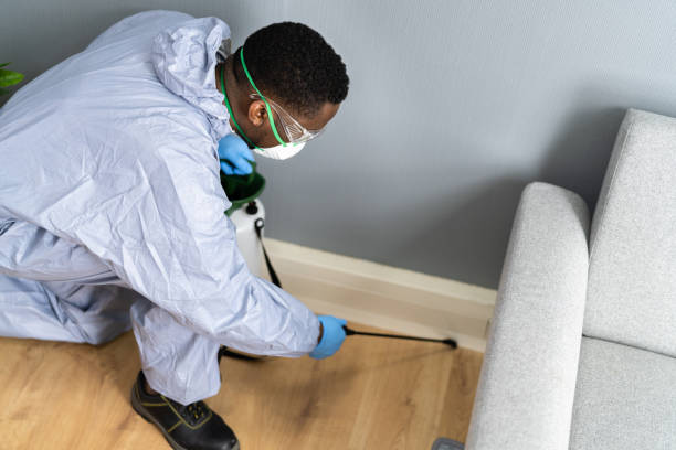 Professional Pest control in Woodbine, NJ